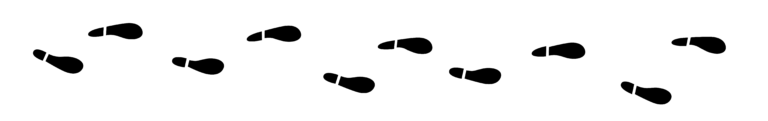 detektiv-dachs-spuren