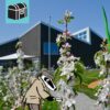 Erlebe den Detektiv-Trail Arbon mit Detektiv Dachs: Ein Natur-Abenteuer rund um Äpfel, Most und Wildbienen! Begib dich mit Detektiv Dachs auf eine spannende Rätseltour durch die grüne Natur rund um Arbon. Ein Erlebnis für kleine und grosse Spürnasen! Der Trail führt dich durch Wiesen und Wälder, immer der Lösung eines geheimnisvollen Falls auf der Spur. Am Ende kannst du die traditionsreiche Mosterei Möhl entdecken, erfährst unterwegs, warum der Thurgau als «Mostindien» bekannt ist, und wie aus saftigen Äpfeln feiner Most entsteht. Doch nicht nur die Äpfel spielen eine Hauptrolle: Du lernst auch faszinierende Fakten über Wildbienen, warum sie so wichtig für unsere Natur sind. Der Detektiv-Trail Arbon ist zu 100 % in der Natur und bietet eine abwechslungsreiche Mischung aus Rätseln, Bewegung und spannenden Geschichten rund um Landwirtschaft, Biodiversität und regionale Traditionen. Ein Abenteuer voller Bewegung, kniffliger Aufgaben und spannender Geschichten. Perfekt für Familien, Kinder, Schulklassen, Grosseltern und alle, die Spass am Entdecken haben. Viel Vergnügen auf deinem Abenteuer!